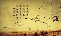 世界排球锦标赛：轮换管理成为夺冠团队优势之一，世界排球俱乐部锦标赛