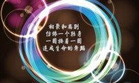 世界拳击退役运动员心理康复计划第二期开班，拳击运动员退役的心酸