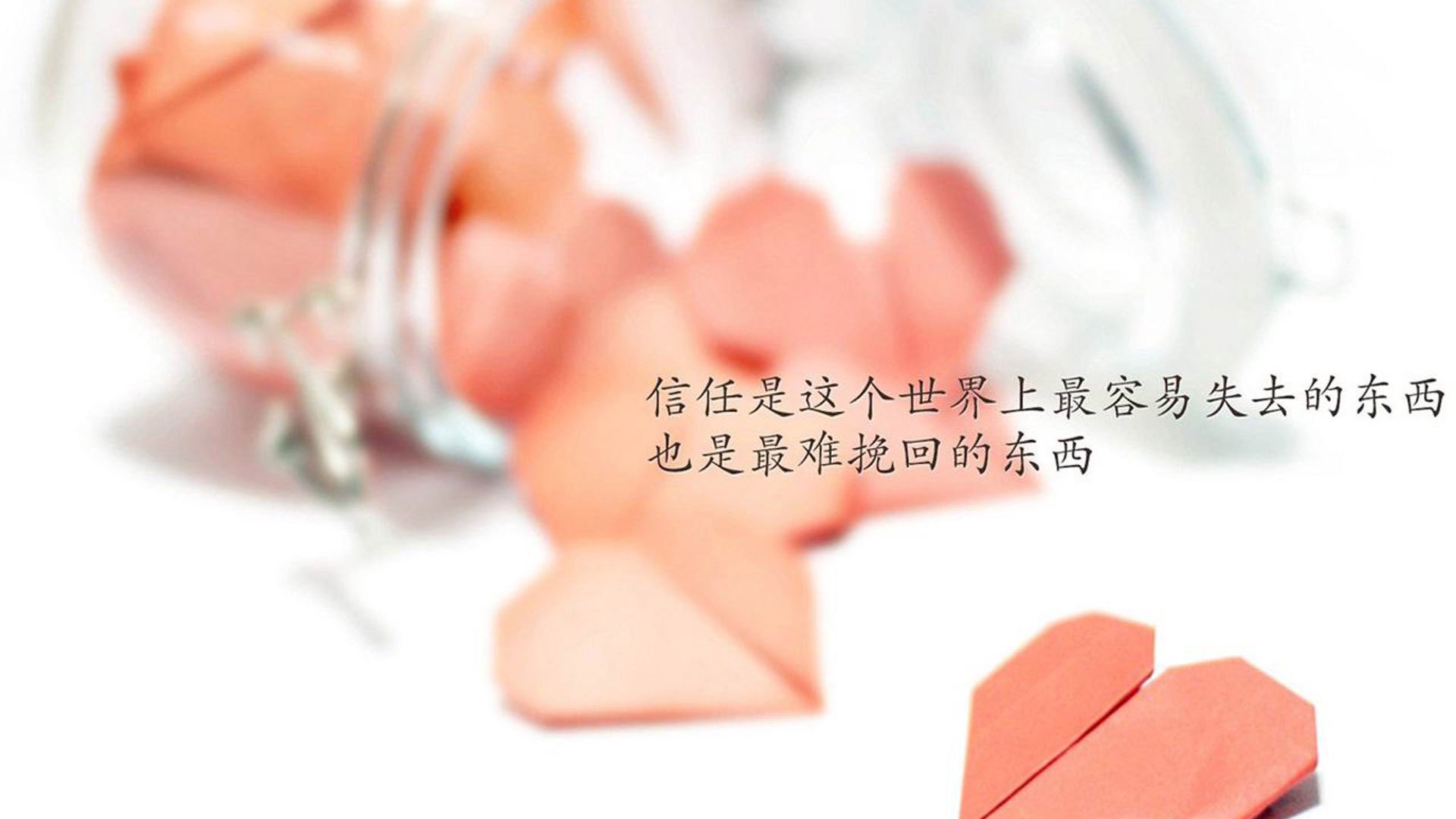 世界体能挑战赛：专项测试助力跨项选拔，世界最强体能大赛