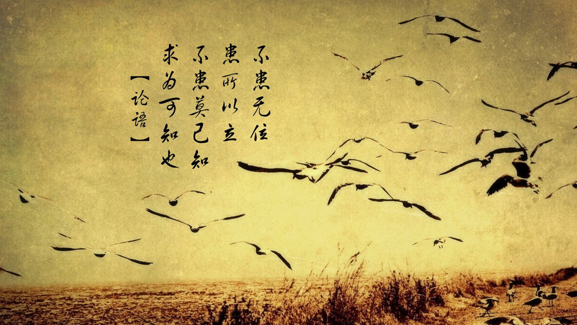 世界排球锦标赛：轮换管理成为夺冠团队优势之一，世界排球俱乐部锦标赛